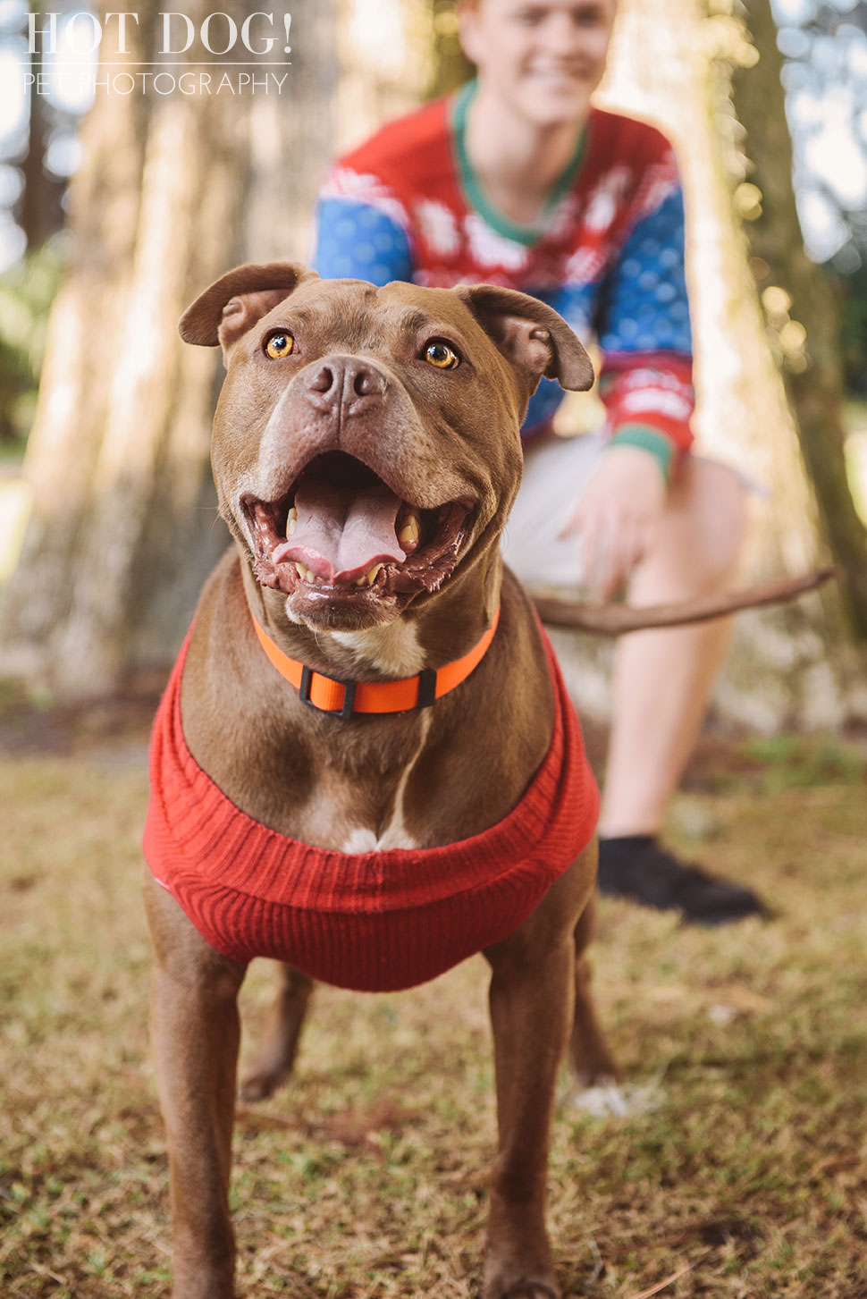 Tank and Coral | Winter Park Pet Photography