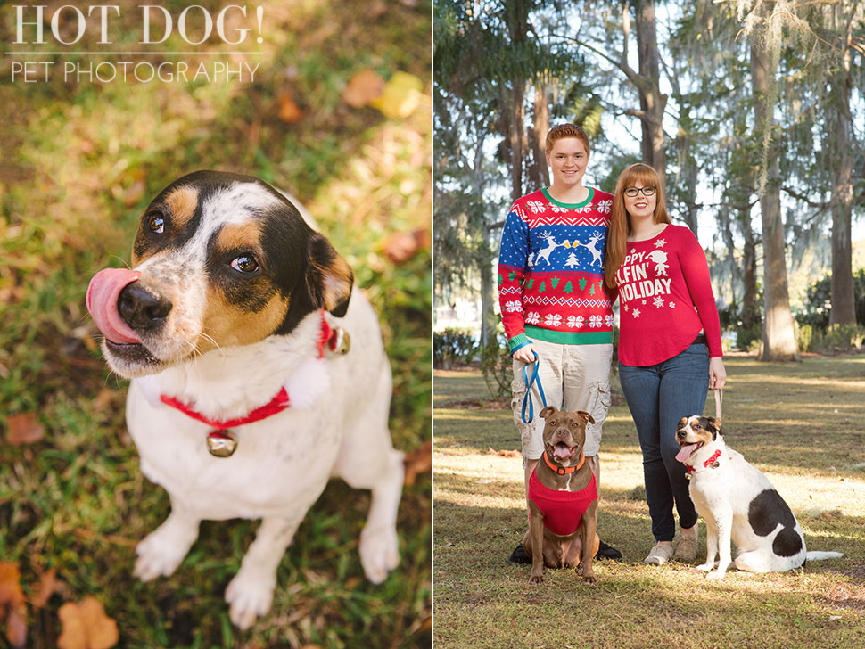 Tank and Coral | Winter Park Pet Photography