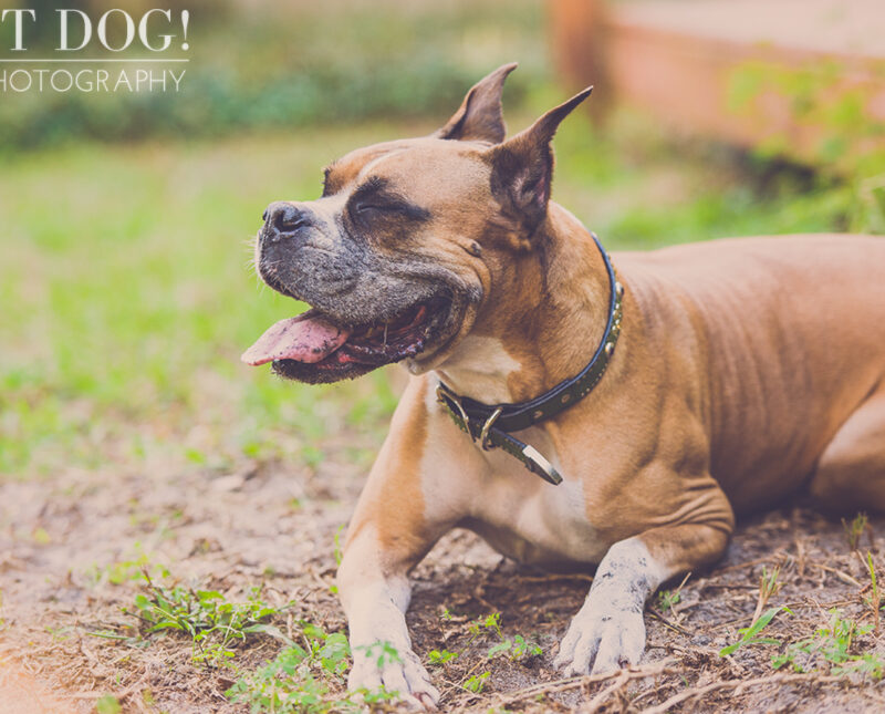 Brutus & Csonka’s Person