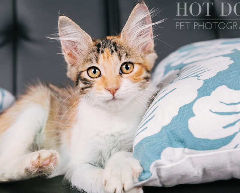 Gamora | Construction Site Princess