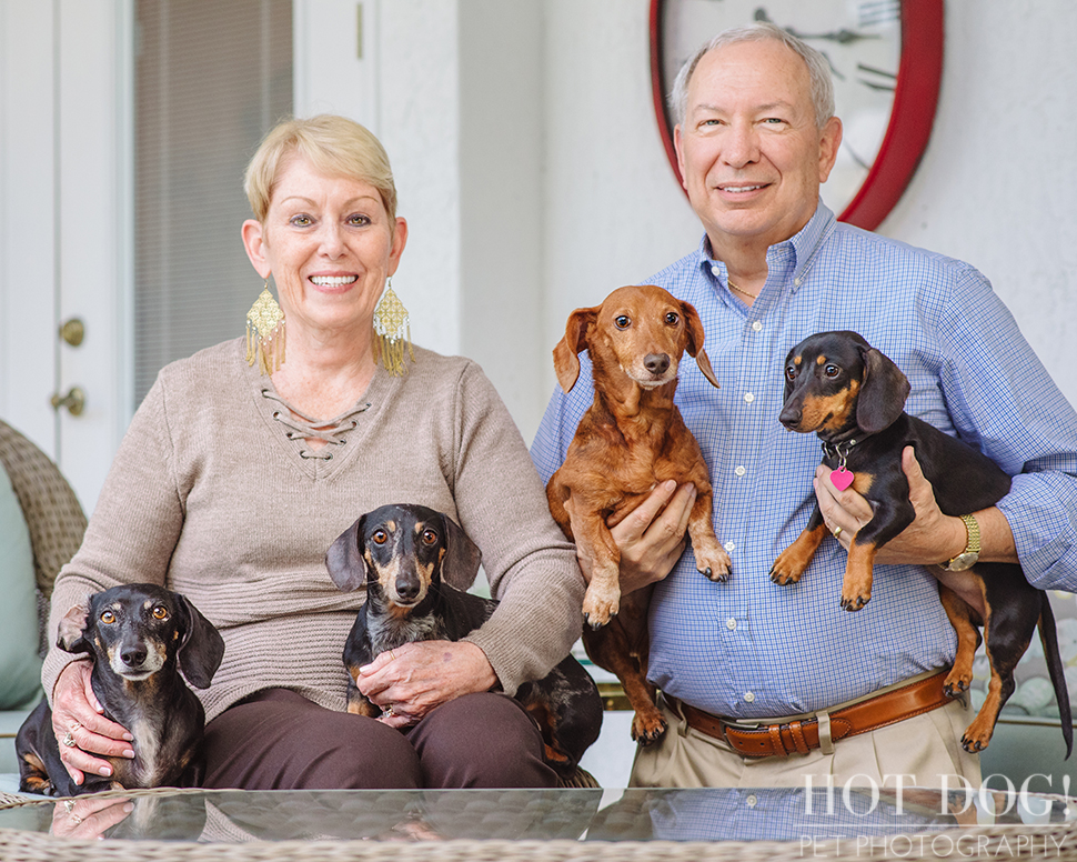 The Willoughby Dachshunds | Mt. Dora Pet Photography by Hot Dog! Pet Photography | Tom and Erika Pitera