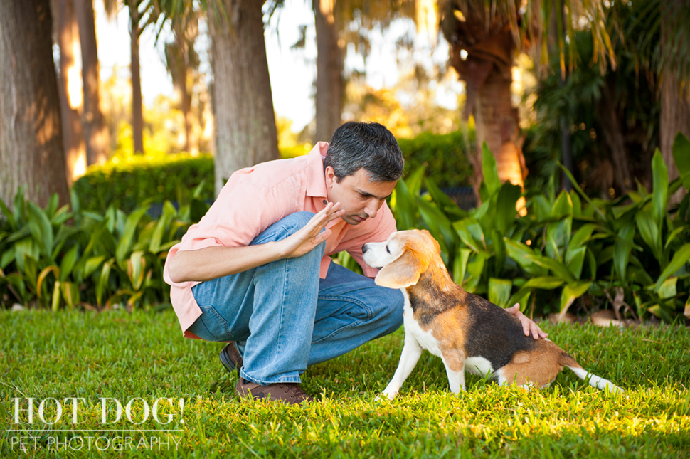 Megan the Beagle | Orlando Pet Photography