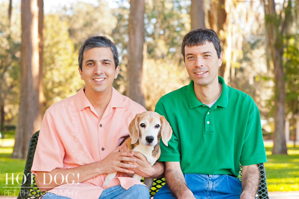 Megan the Beagle | Orlando Pet Photography