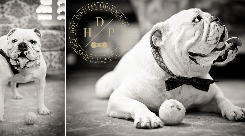 In Memory Of: Punchy