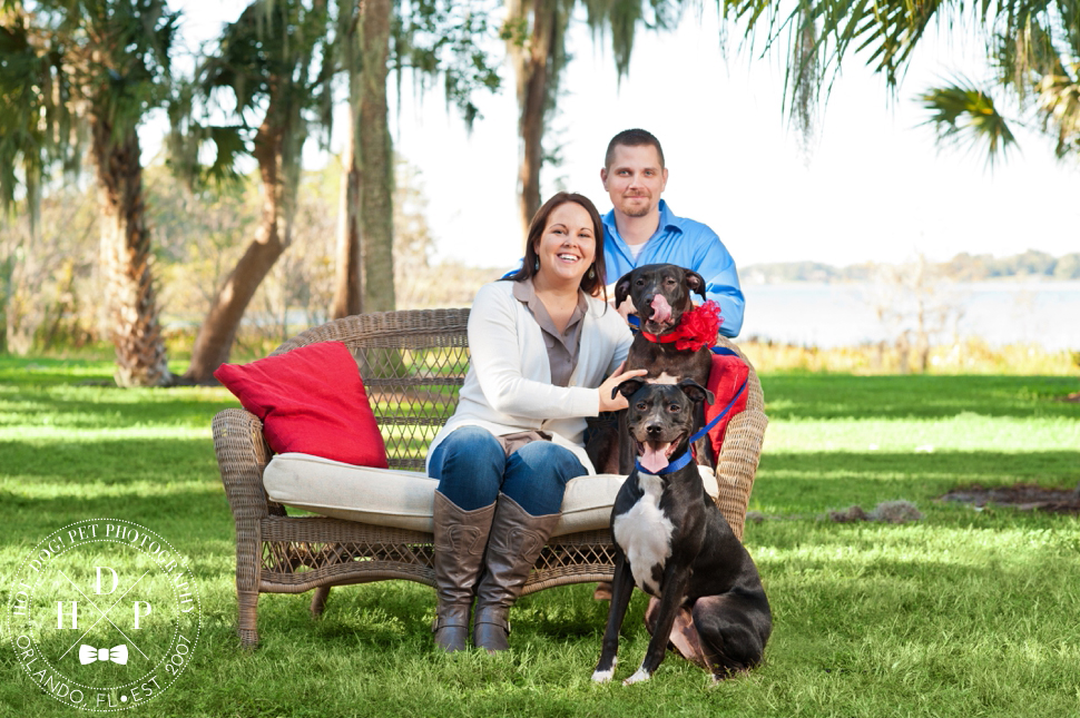 Orlando Pet Photography