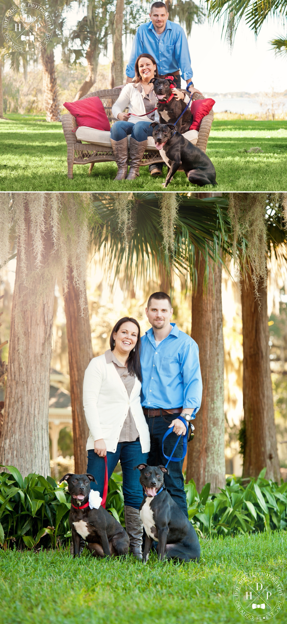 Orlando Pet Photography