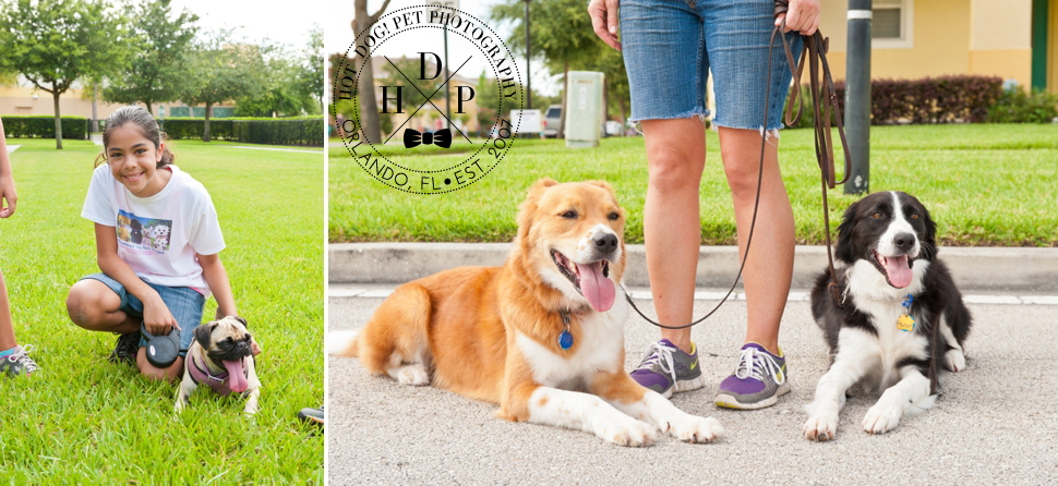 Bark in Avalon Park | Community Dog Walk Event