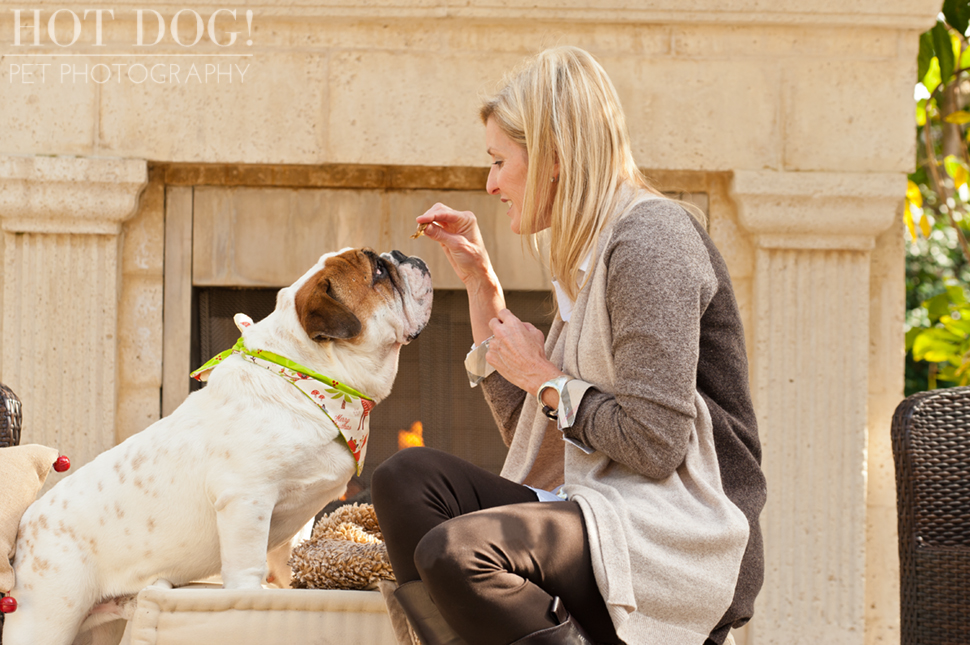 Diesel & Padrone the Bulldogs | Windermere Pet Photography