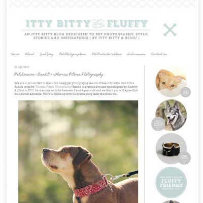 Featured – Itty Bitty and Fluffy – Bandit