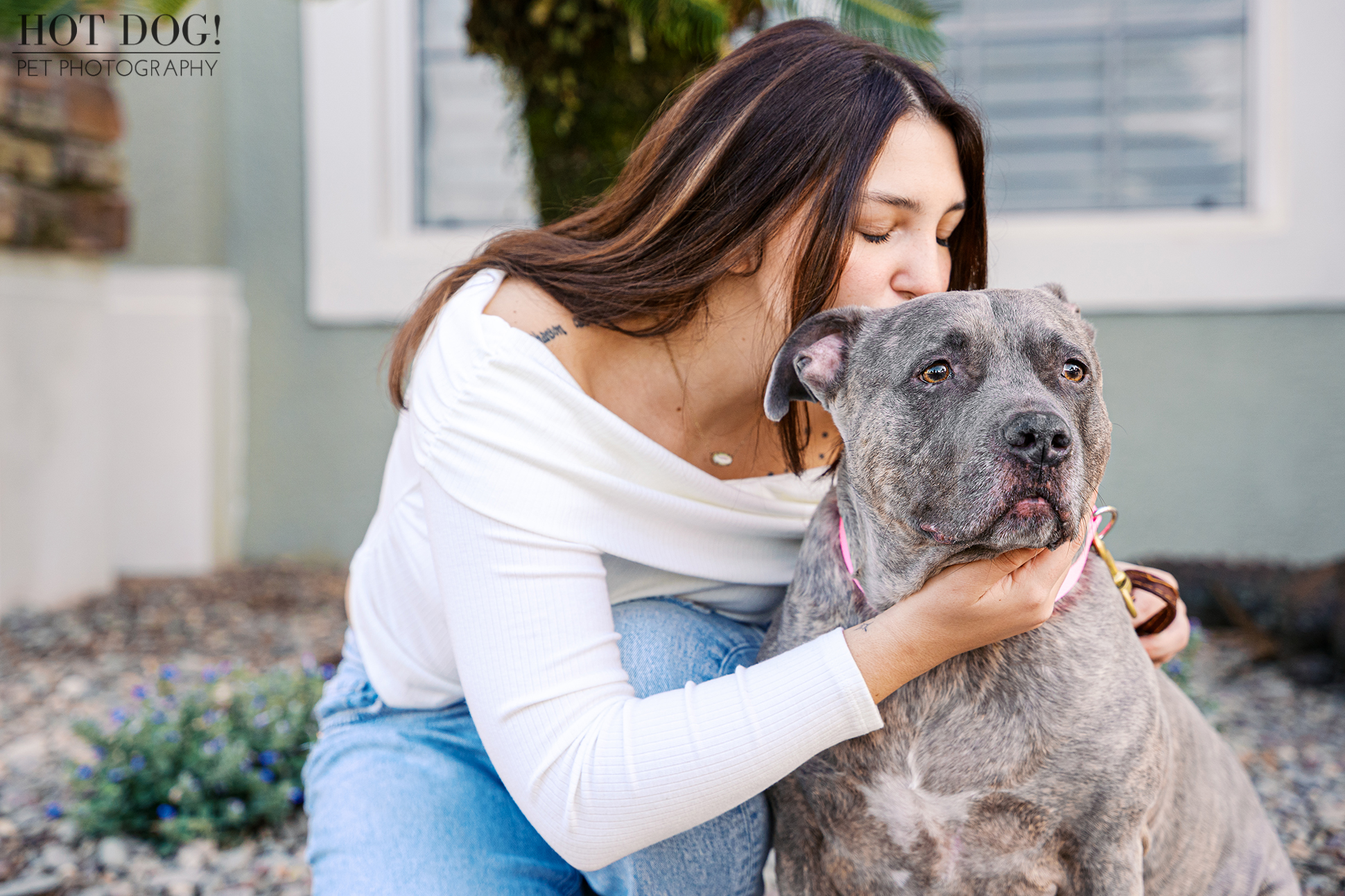 Woman kneels and kisses her gray pitbull on the head during a relaxed outdoor pet photography session.