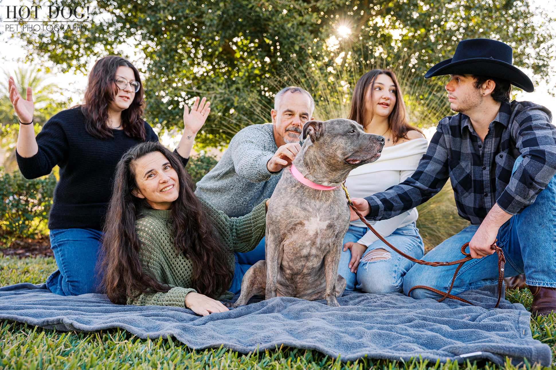Candid moment of family members interacting with their gray pitbull on a blanket in a grassy outdoor setting.
