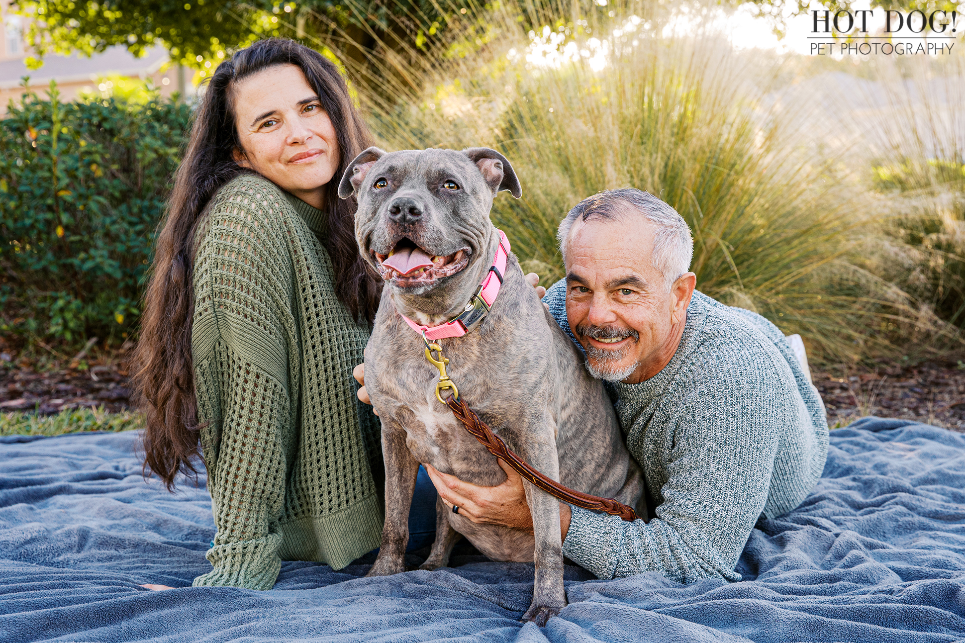 Couple lies on a blanket with their gray pitbull sitting between them, smiling during a relaxed pet photography session.