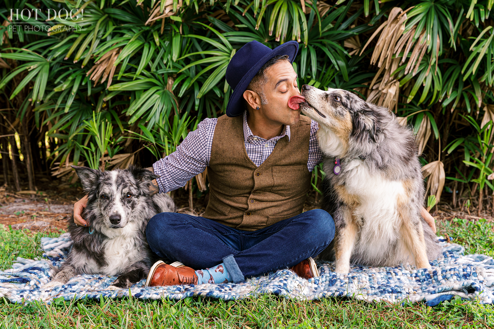 The heartwarming bond between Andres and his Border Collies, Allie and Flash.