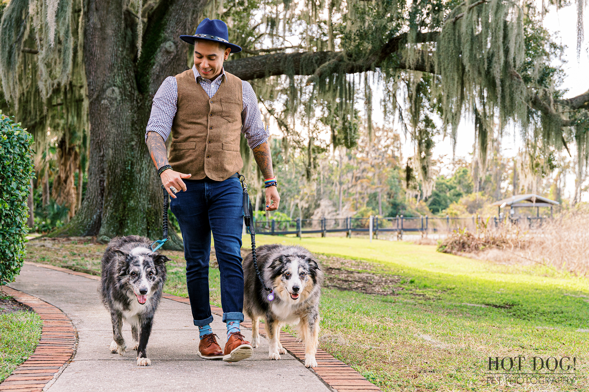 Andres taking a walk with his beloved Border Collies on a scenic trail.