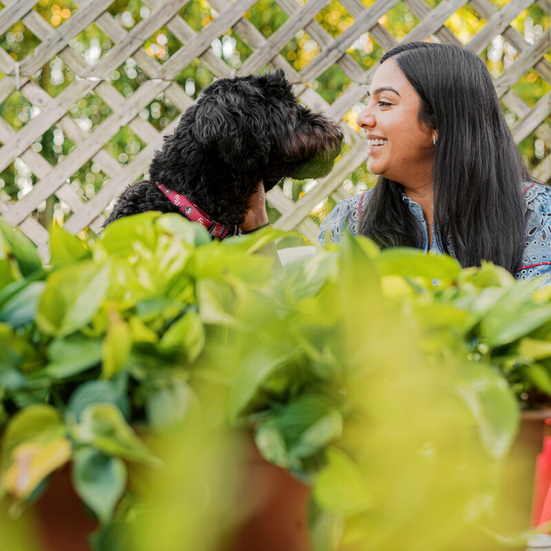 Banjo’s Cozy At-Home Signature Pet Session | Winter Park Pet Photography