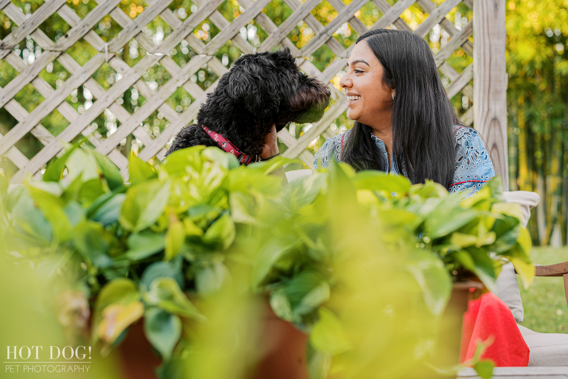 Banjo and his mom, Selavi, share a sweet moment on the patio, touching noses and smiling with potted greenery in the foreground.