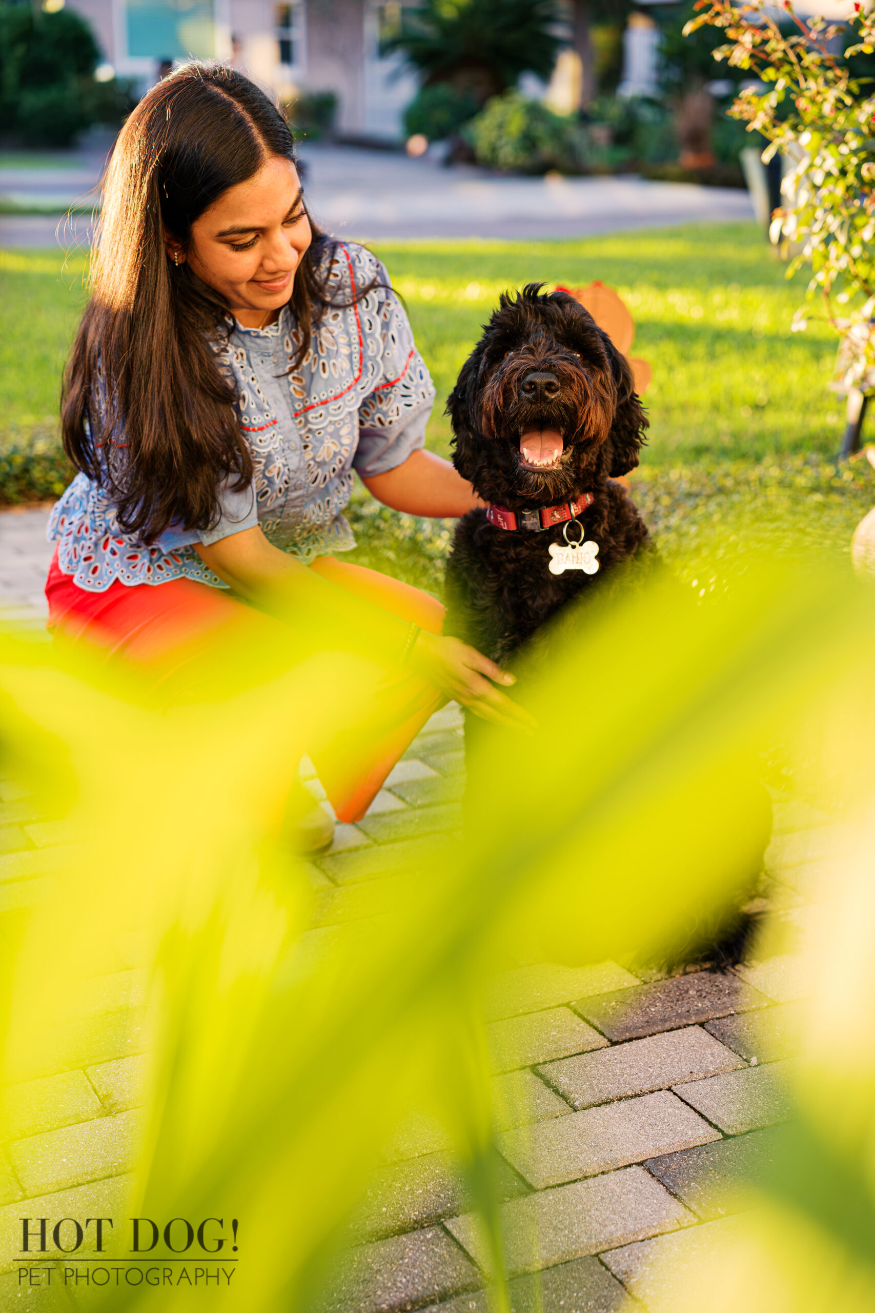 Banjo sits on the patio with bright golden light behind him as Selavi kneels beside him, petting him through soft foreground greenery.