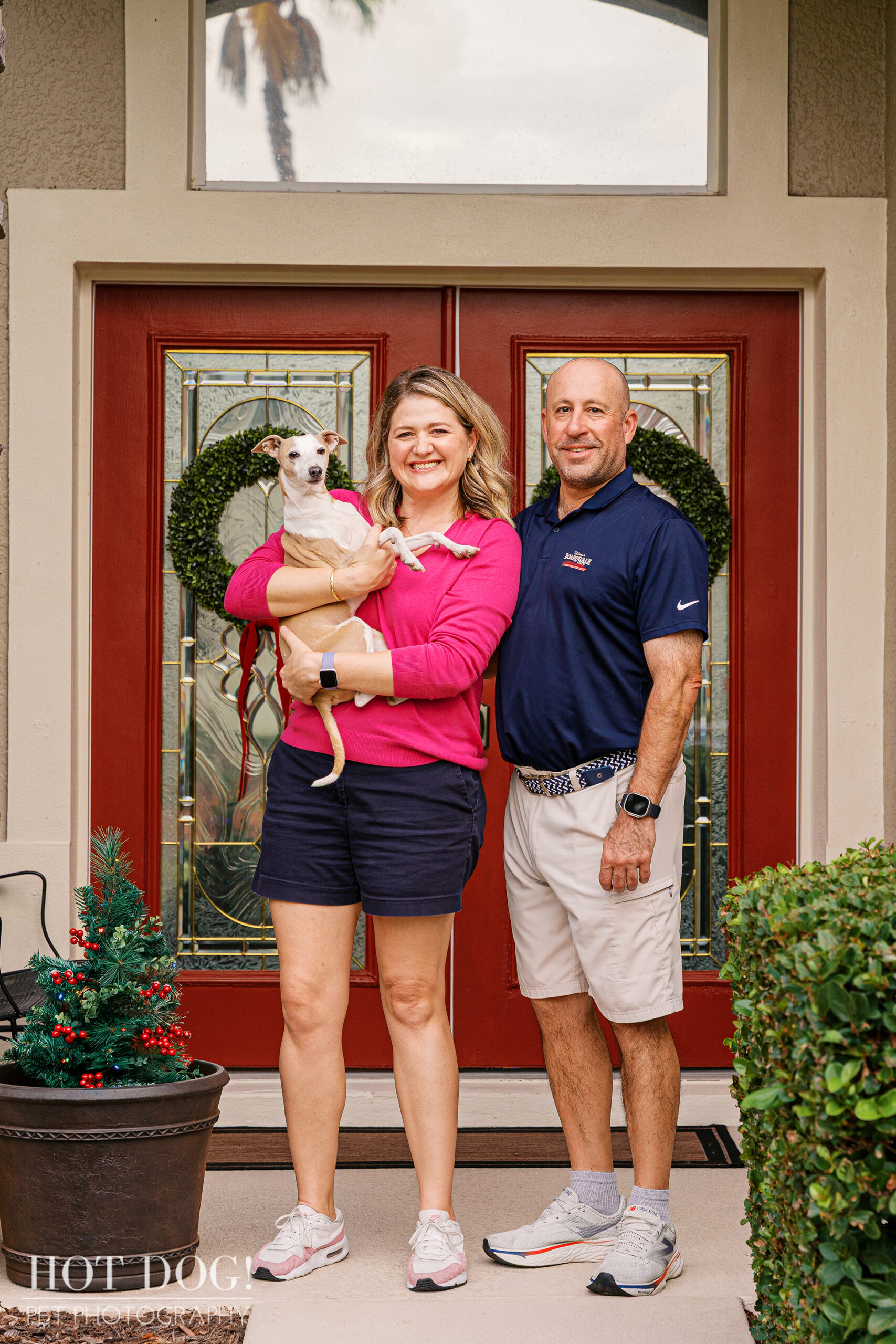 Italian Greyhound posing in front of his owners at their decorated front entry during a holiday pet photography session.