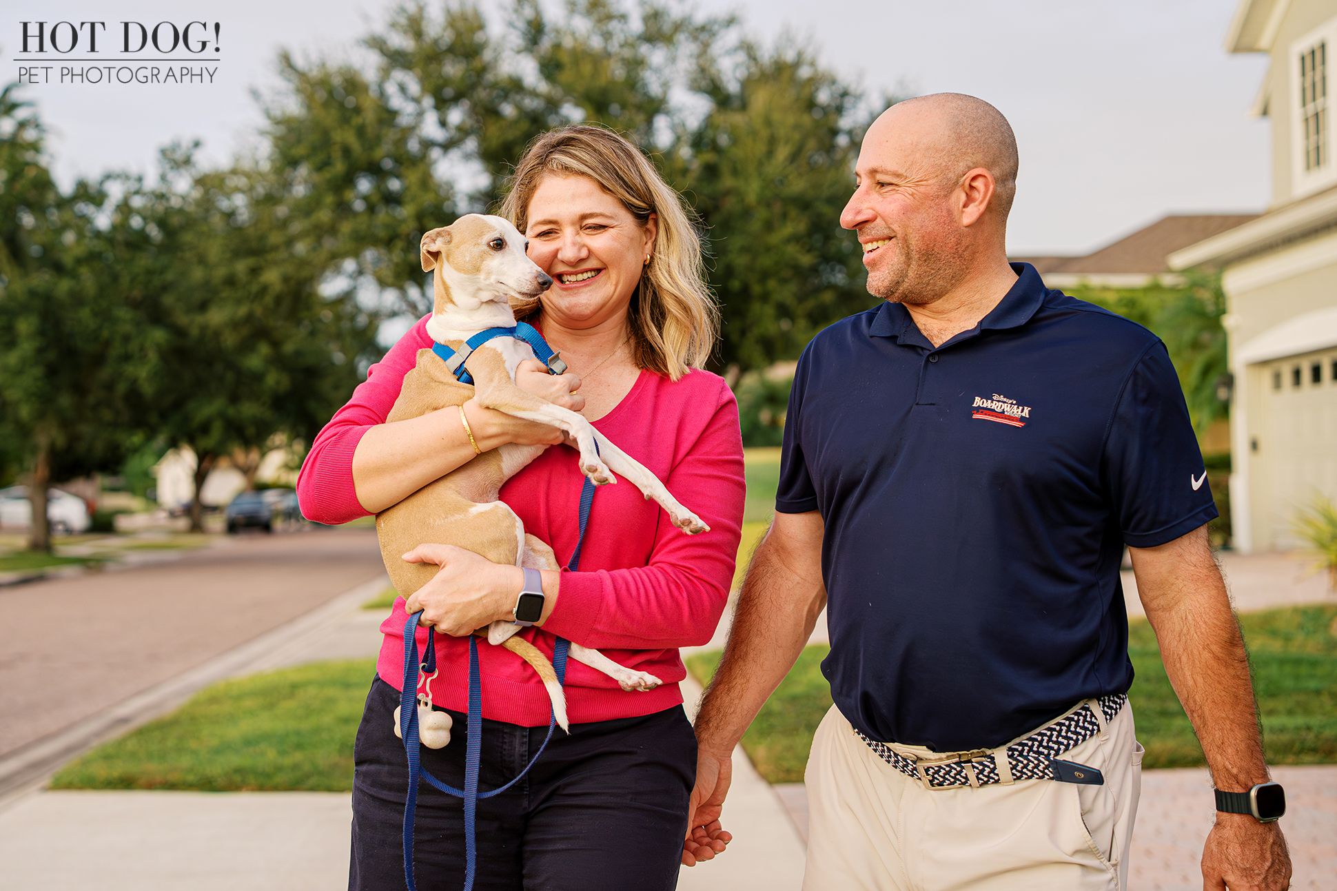 Close-up of Italian Greyhound being gently held by his owners, showing a quiet, affectionate moment outdoors.