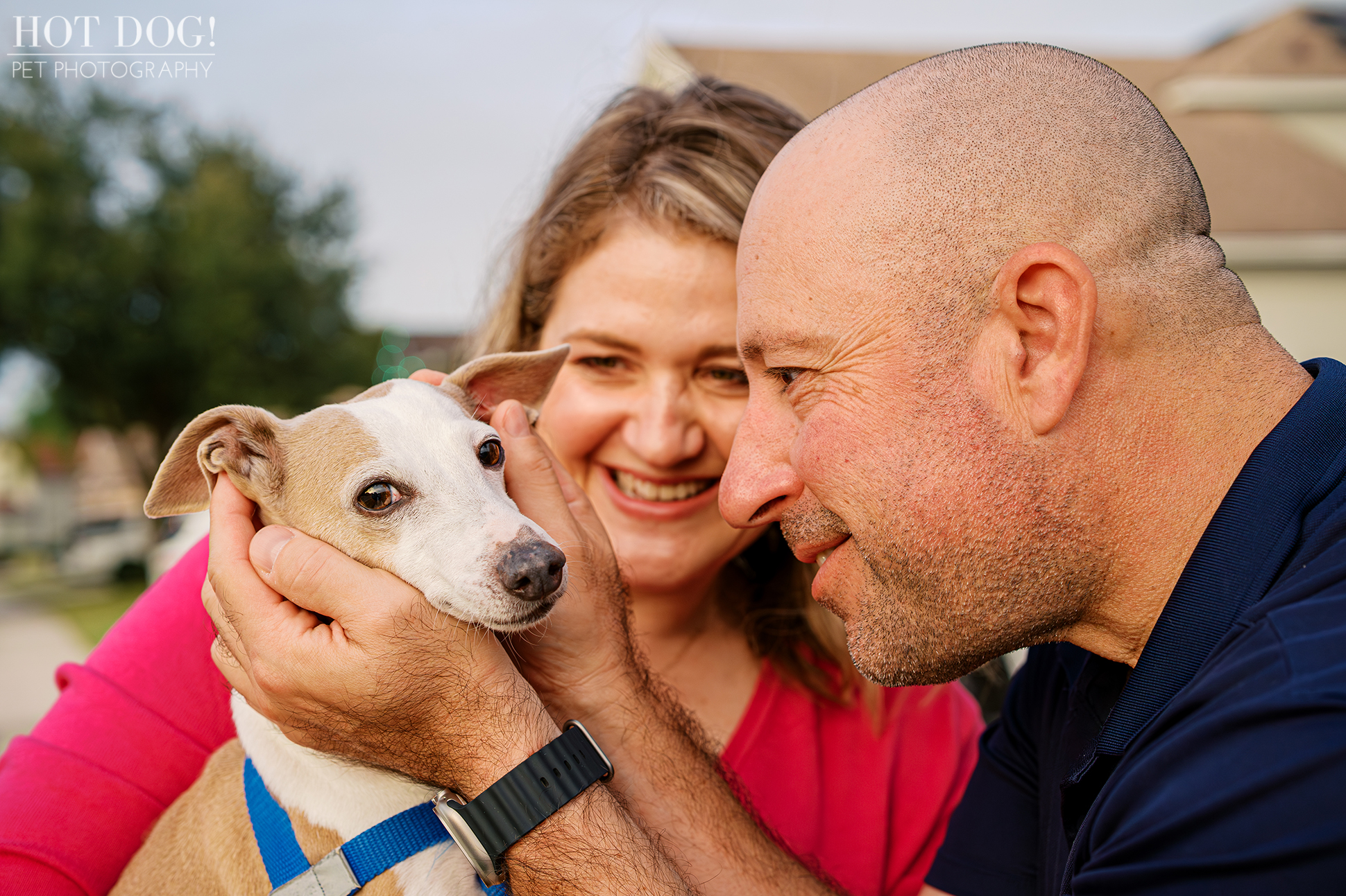Italian Greyhound cuddled in his owner’s arms while the other owner smiles nearby on a residential street.