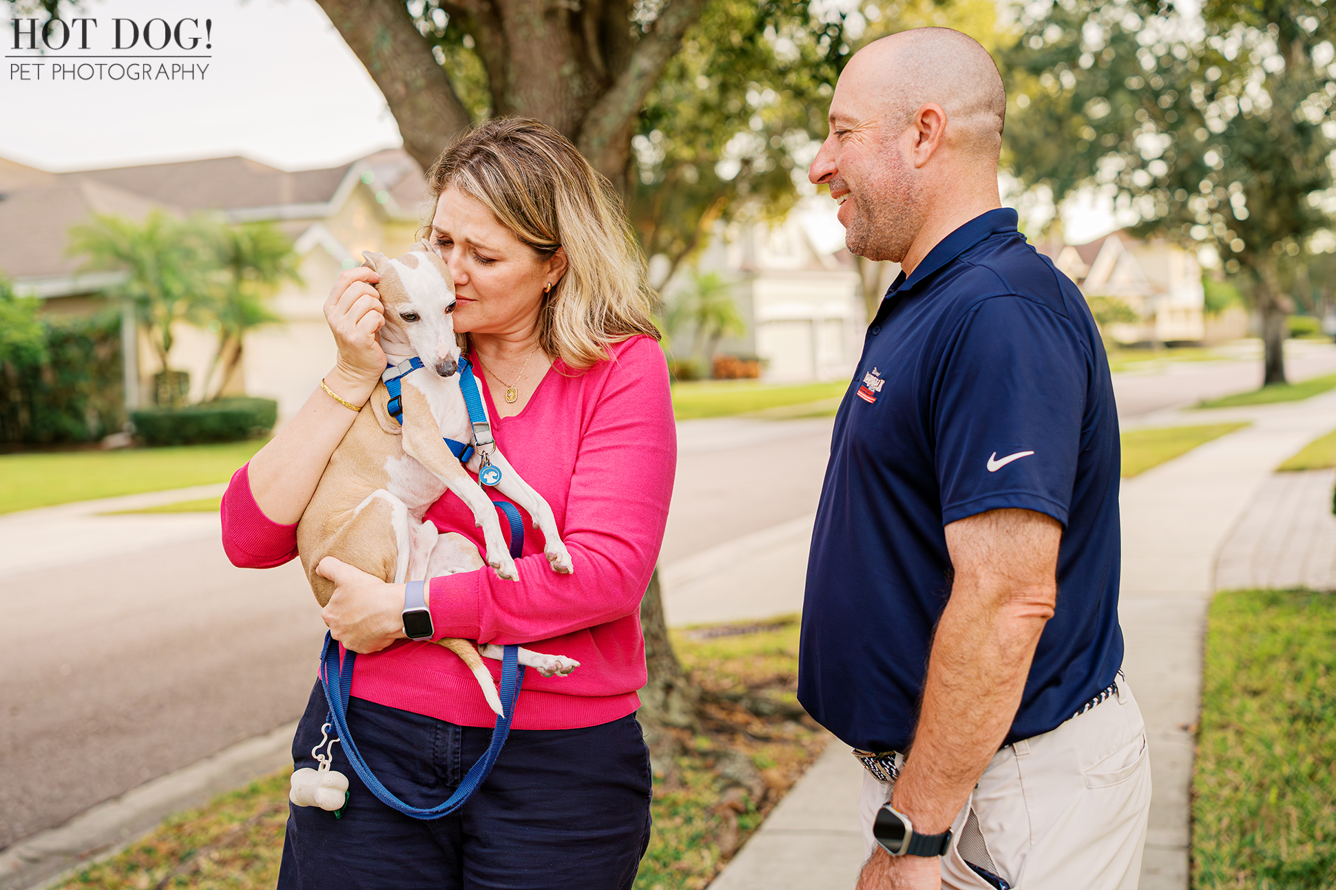 Italian Greyhound being held close by his owner as the couple shares a relaxed moment during a neighborhood walk.