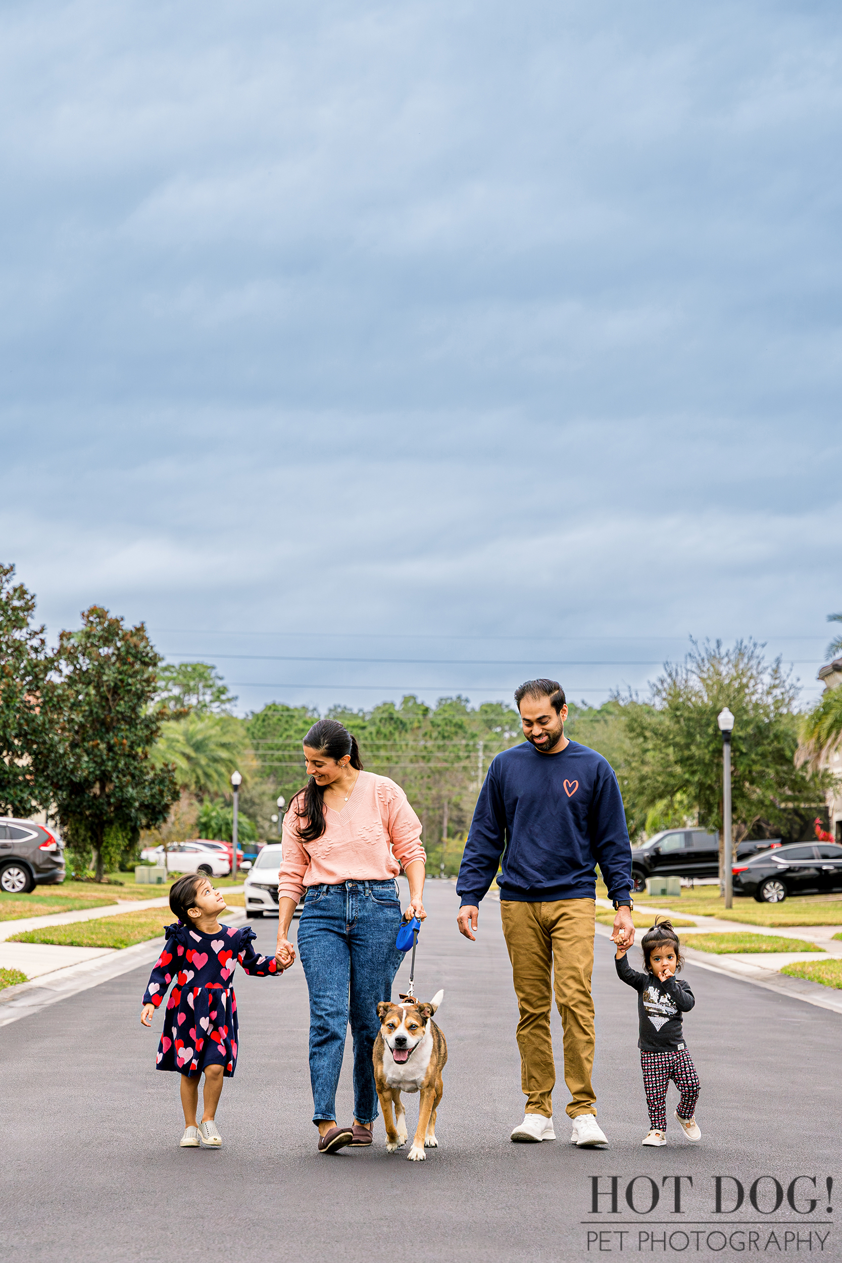 A family walks their Boxer/Pit mix, Benji, down a street in their neighborhood in Orlando, FL. Photo by Hot Dog! Pet Photography.