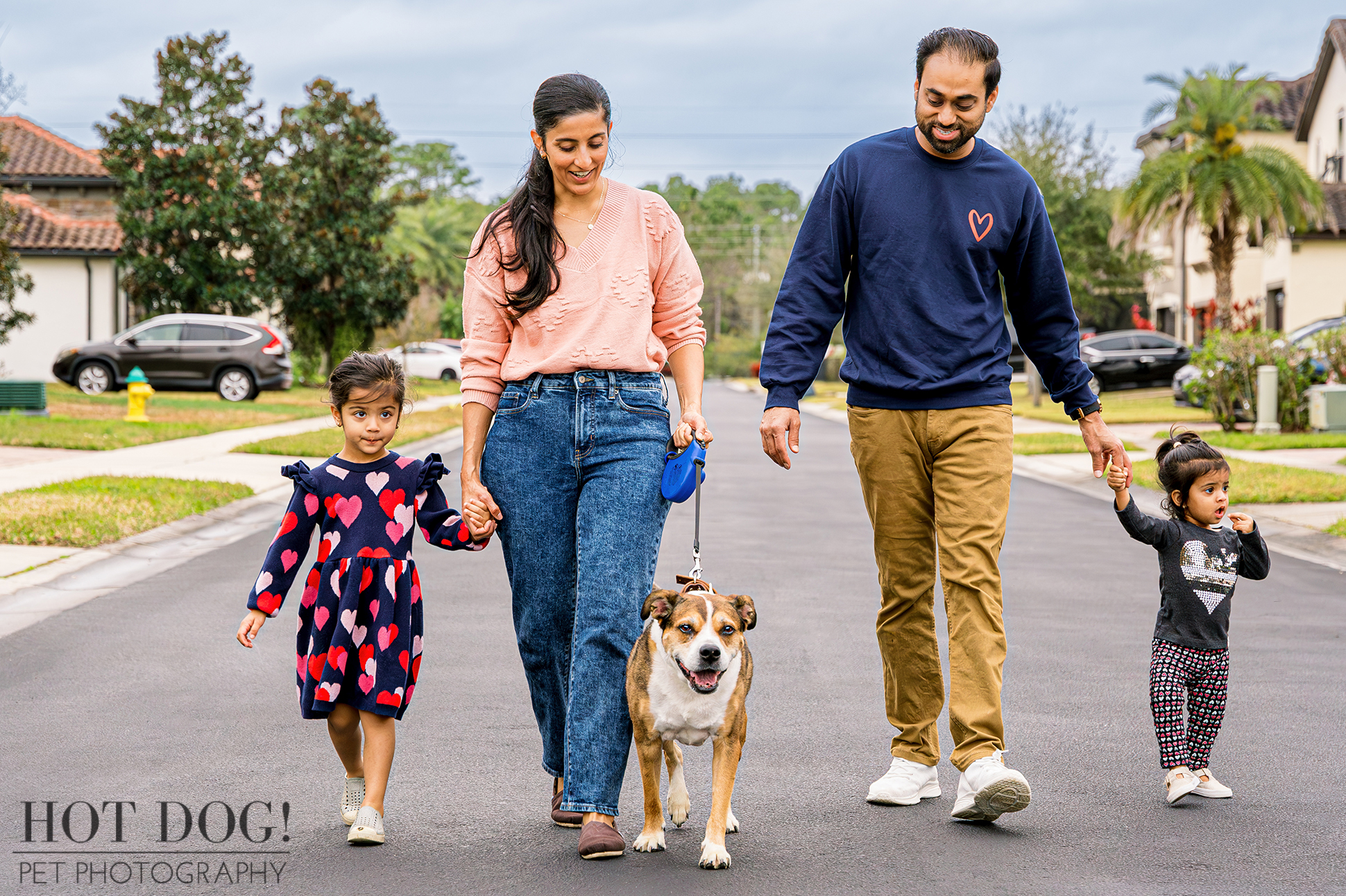 A family walks their Boxer/Pit mix, Benji, down a street in Orlando, FL. Photo by Hot Dog! Pet Photography.