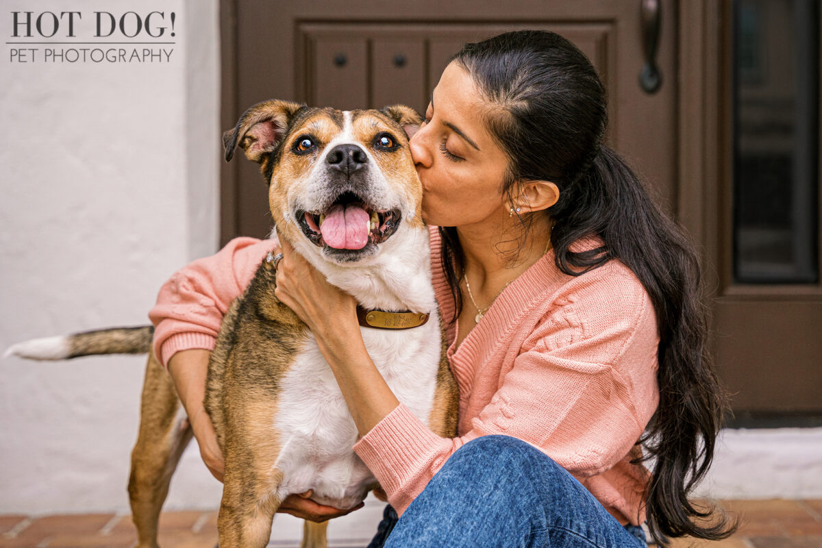 A Boxer/Pit mix named Benji is kissed on the head by his mom Nita. Photo taken in Orlando, FL by Hot Dog! Pet Photography.