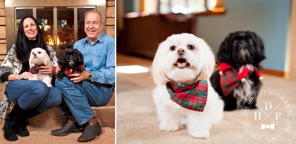 Longwood Pet Photography by Hot Dog! Pet Photography