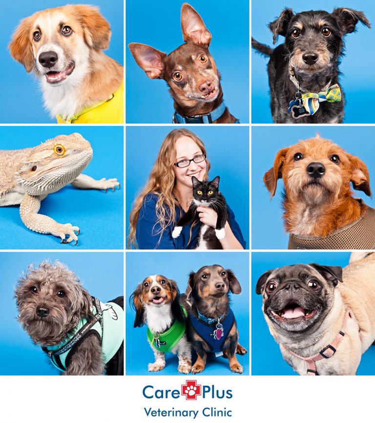 Care Plus Veterinary Clinic Open House Ocoee, FL Hot Dog! Pet