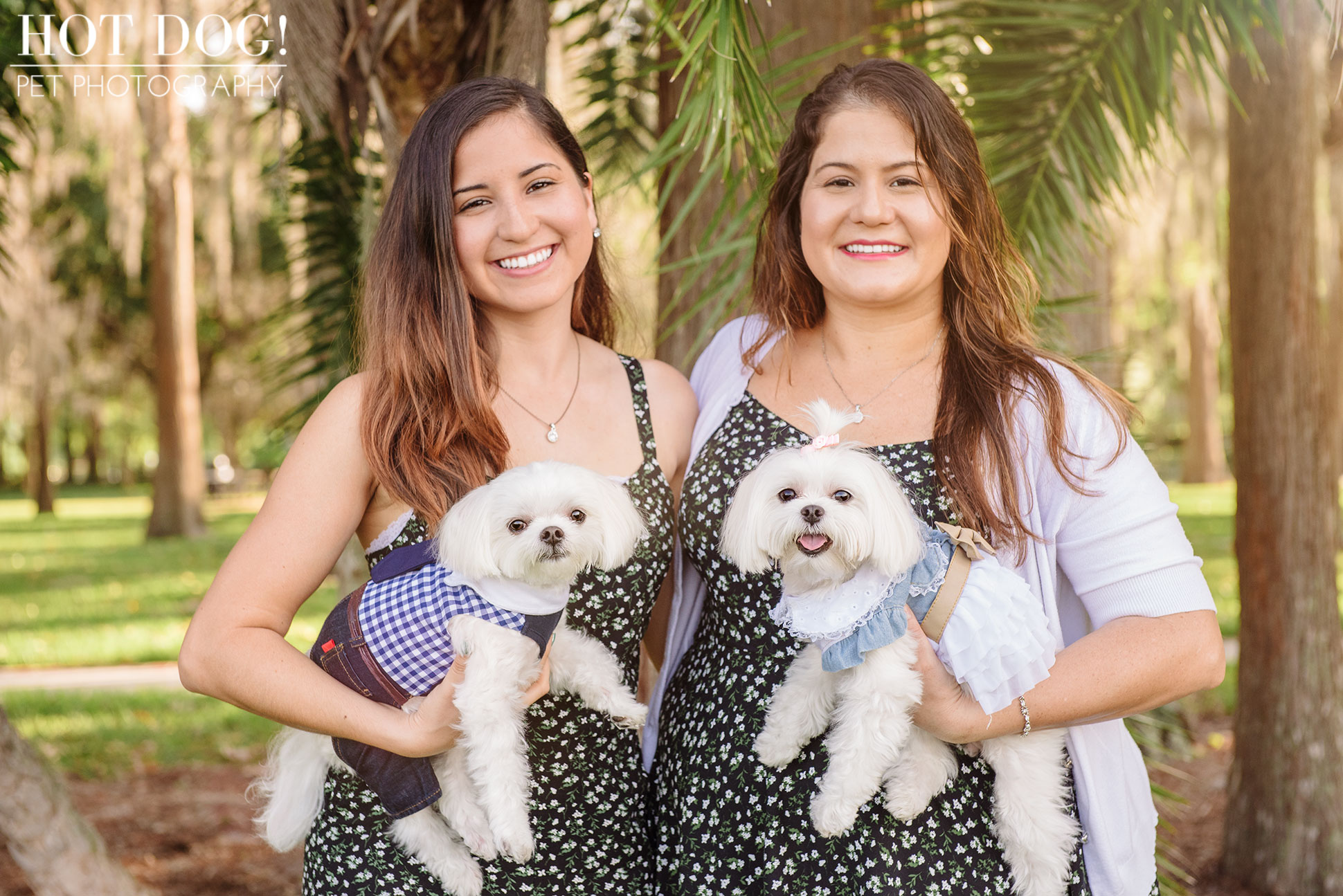 Charlie & Lola the Maltese | Orlando Pet Photography