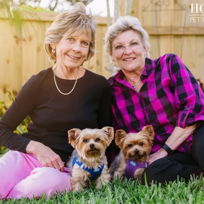 Choppie & Sweet Pea the Yorkies | Orlando Pet Photography