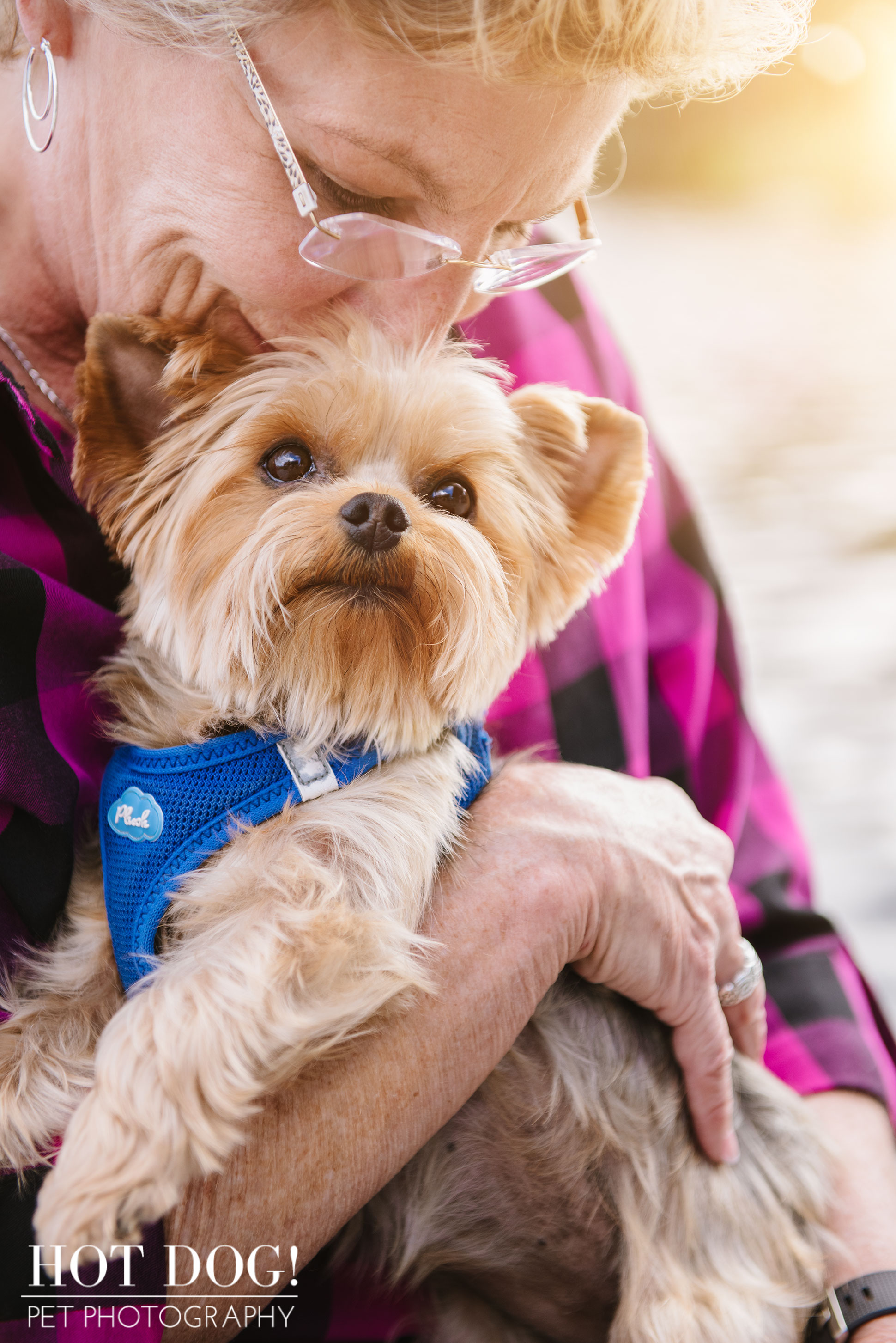 Choppie & Sweet Pea the Yorkies | Orlando Pet Photography