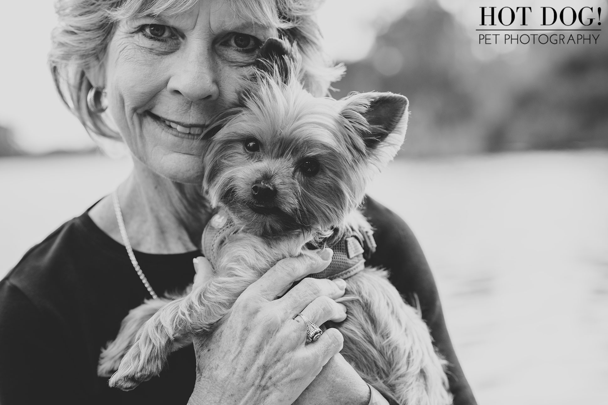 Choppie & Sweet Pea the Yorkies | Orlando Pet Photography