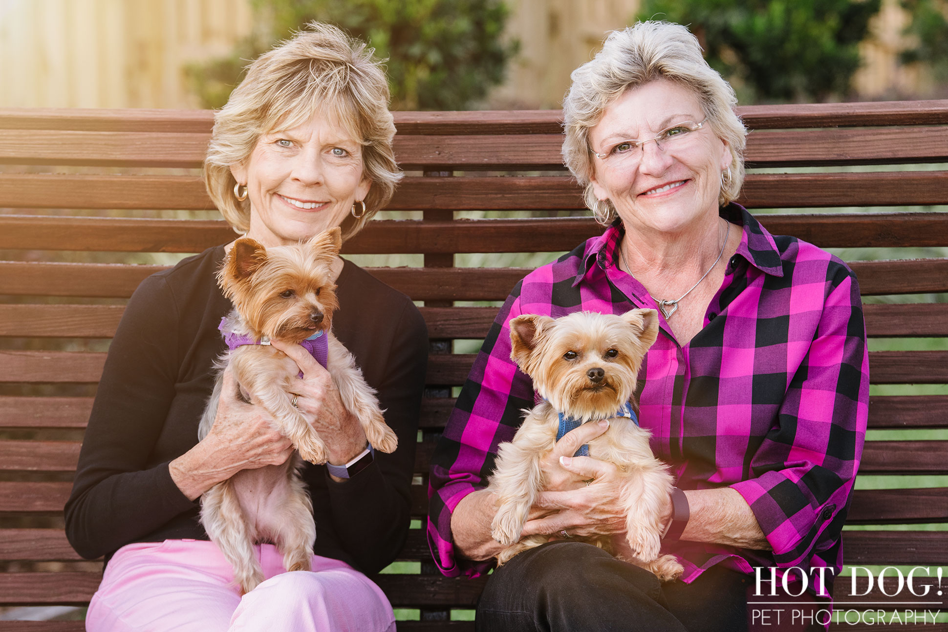 Choppie & Sweet Pea the Yorkies | Orlando Pet Photography