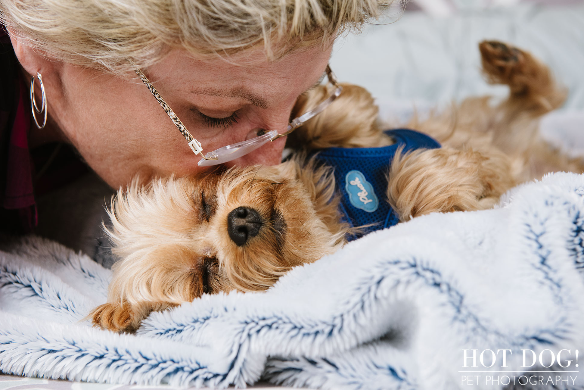 Choppie & Sweet Pea the Yorkies | Orlando Pet Photography