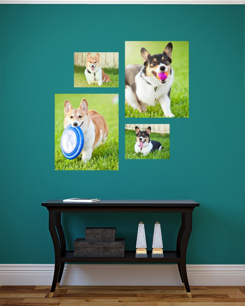 Custom Canvas Collection 13