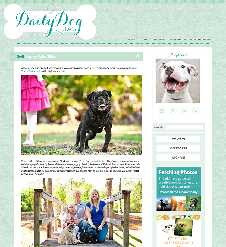 Featured – The Daily Dog Tag – Stitch