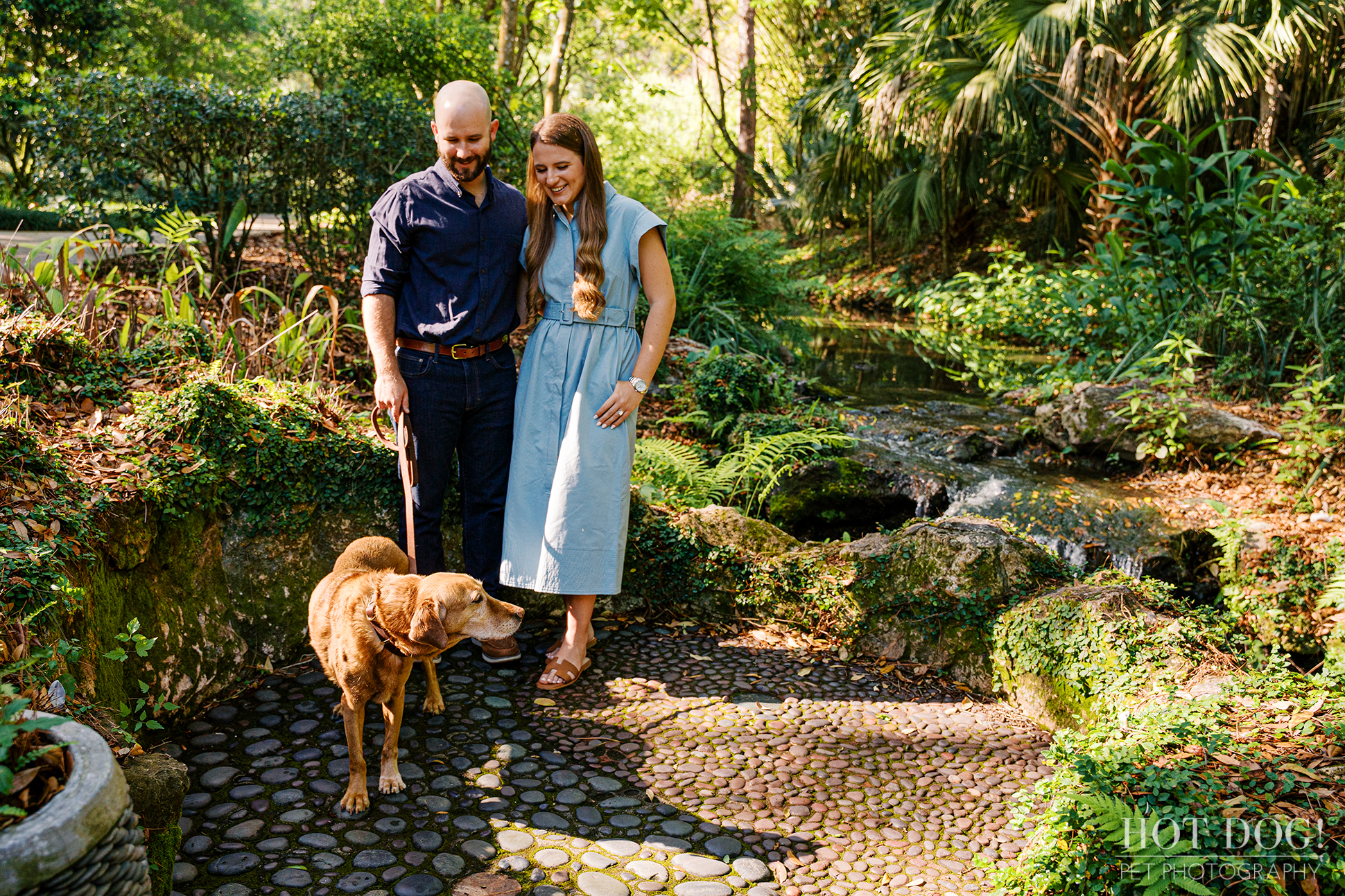 Chloe and Bryson stand with Dixie beside a peaceful stream at Kanapaha Botanical Gardens during their Gainesville pet photography session.
