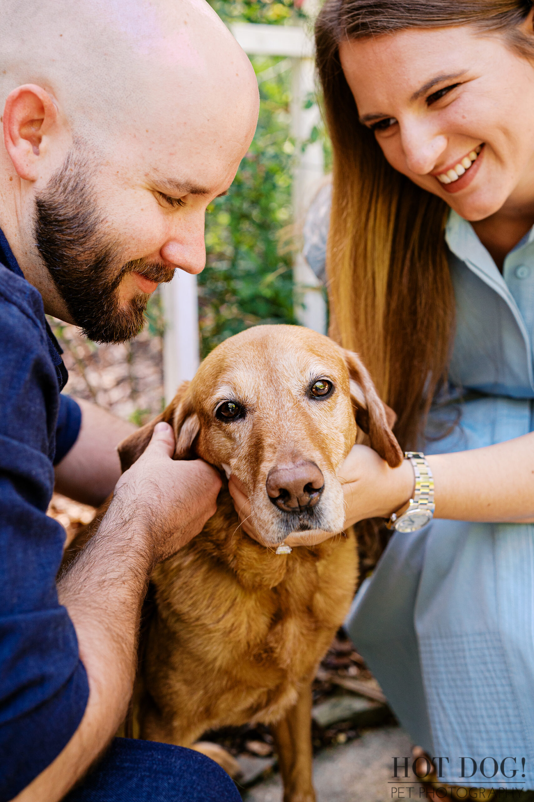Chloe and Bryson gently hold Dixie’s face as their senior red Labrador Retriever looks toward the camera during a Cherished Companion photography session.