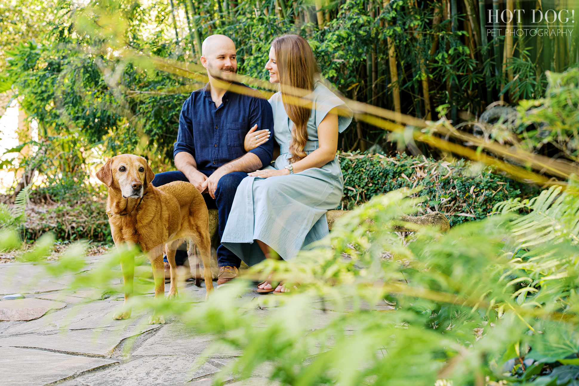 Dixie stands beside Chloe and Bryson in a bamboo garden at Kanapaha Botanical Gardens during a senior dog photography session.