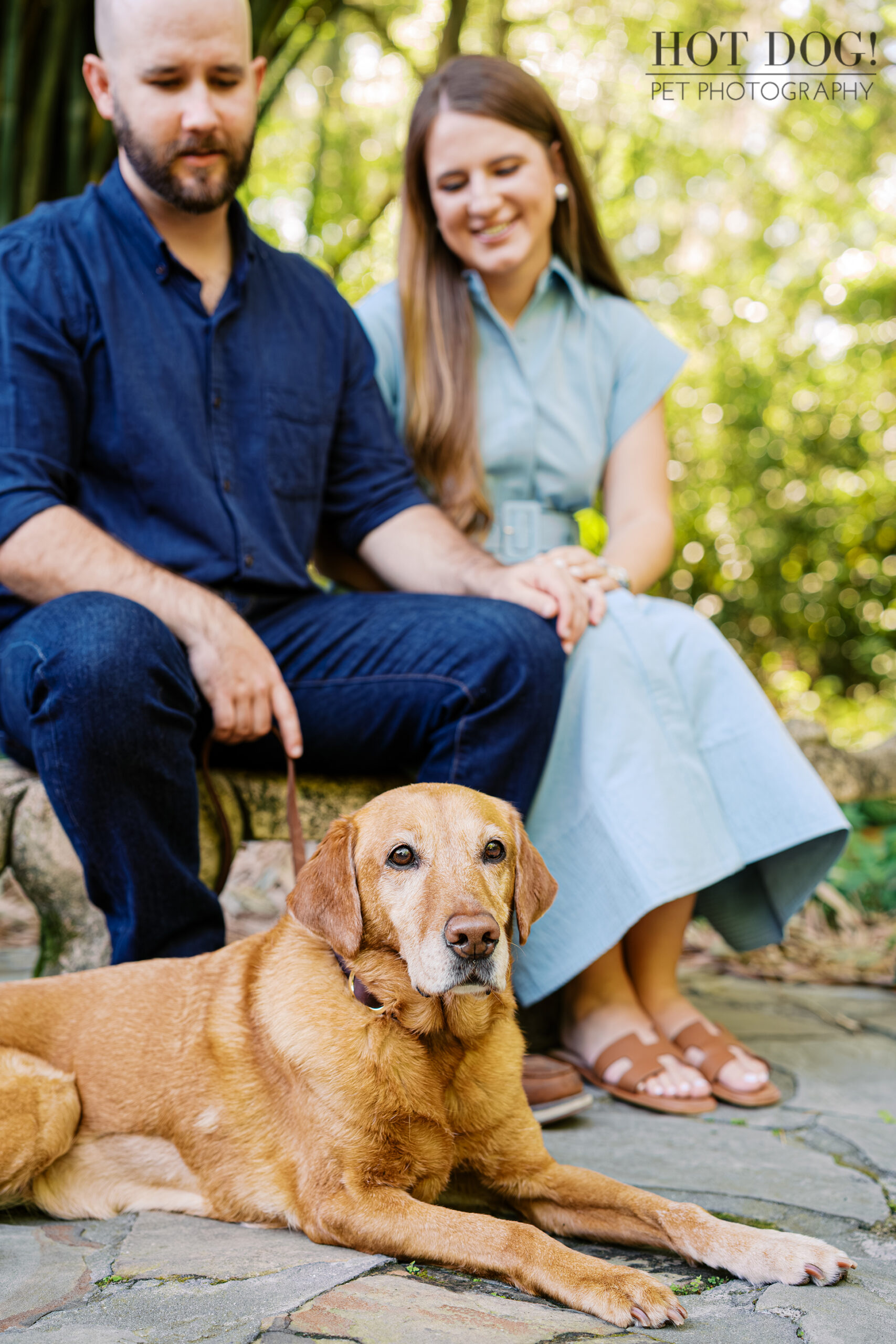 Dixie rests in the foreground while Chloe and Bryson sit together behind her during their Cherished Companion photography session.