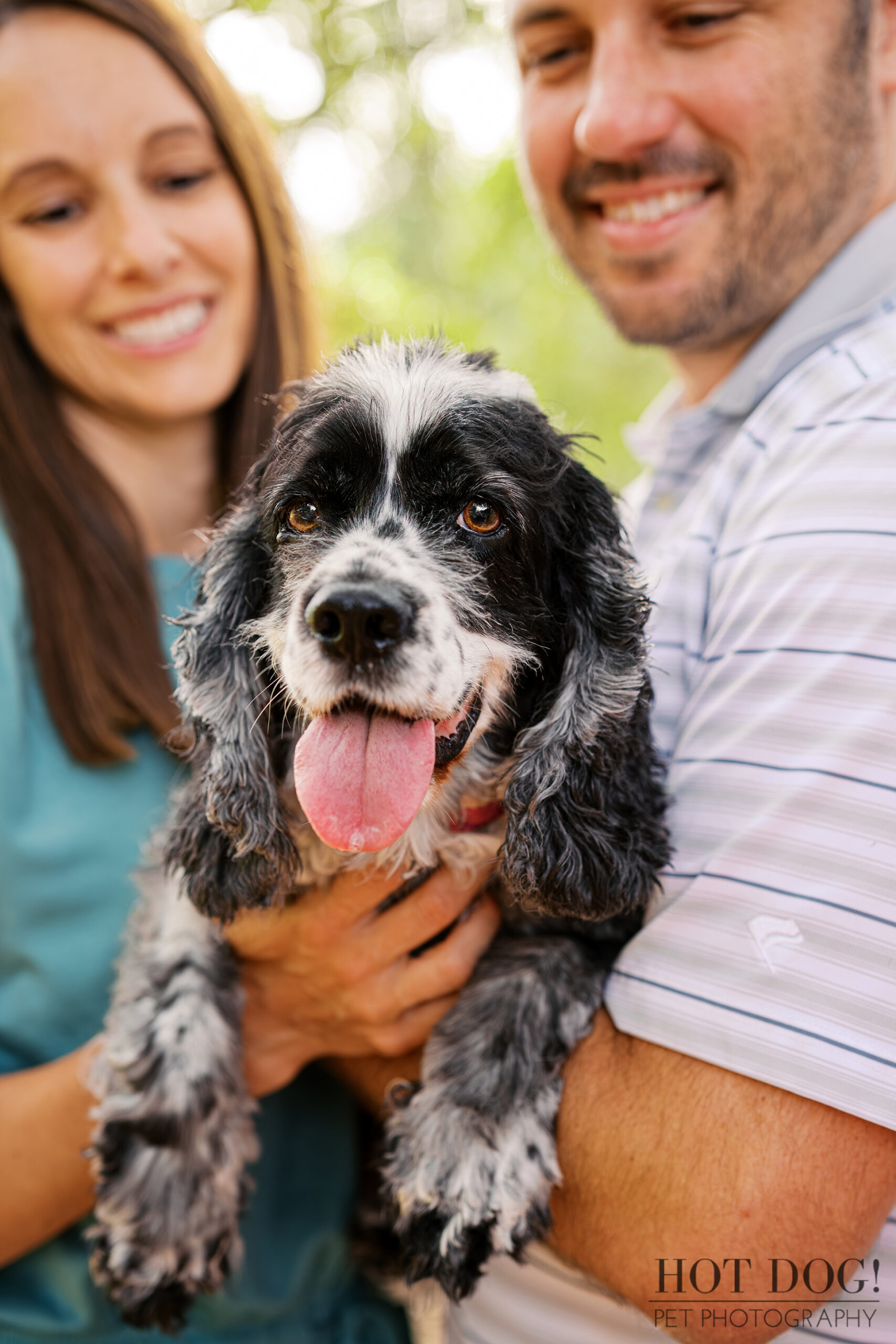 Close-up portrait of Ella being held by Tiffany and Rob during a family pet photography session at Harbor Park in Baldwin Park.