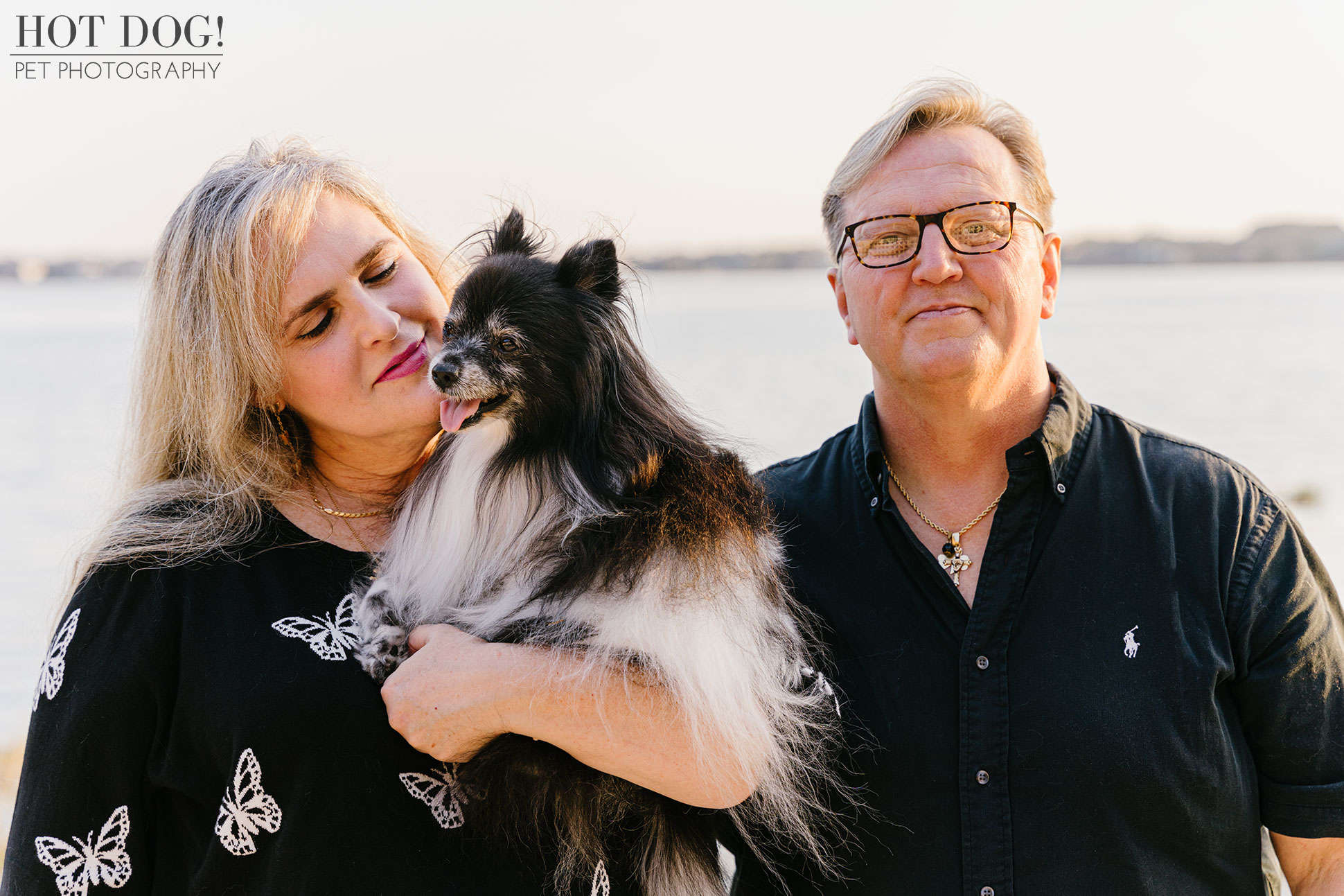 Portrait of Estelita the Papillon by Orlando Pet Photographer Hot Dog! Pet Photography