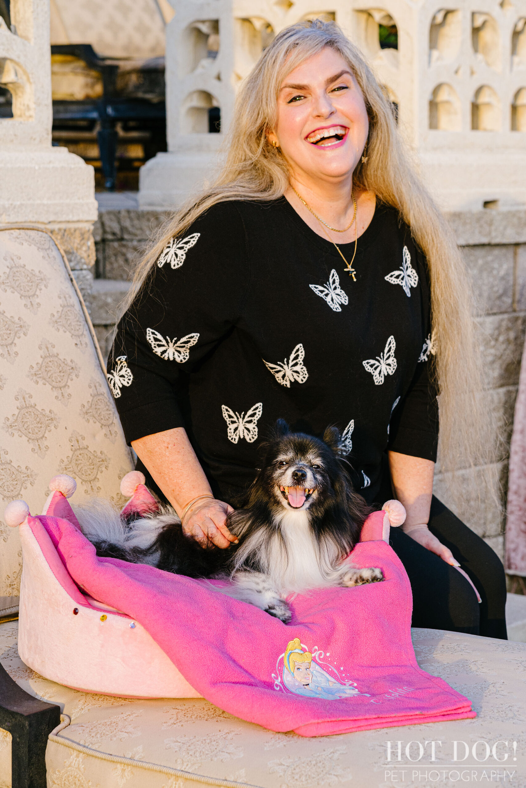 Portrait of Estelita the Papillon by Orlando Pet Photographer Hot Dog! Pet Photography