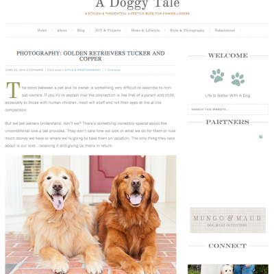 Featured – A Doggy Tale – Tucker & Copper