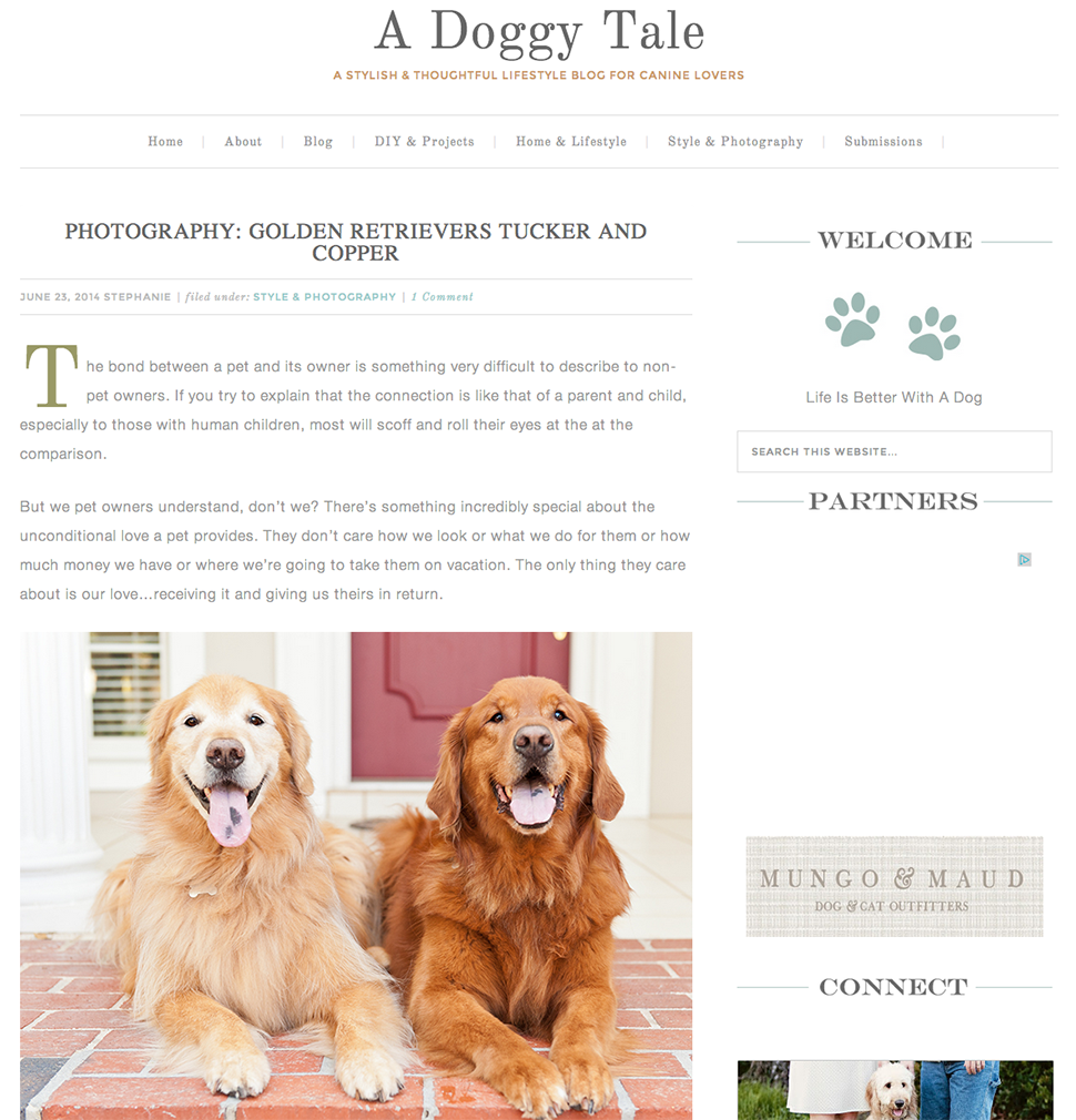 featured-doggy-tale-tucker-copper