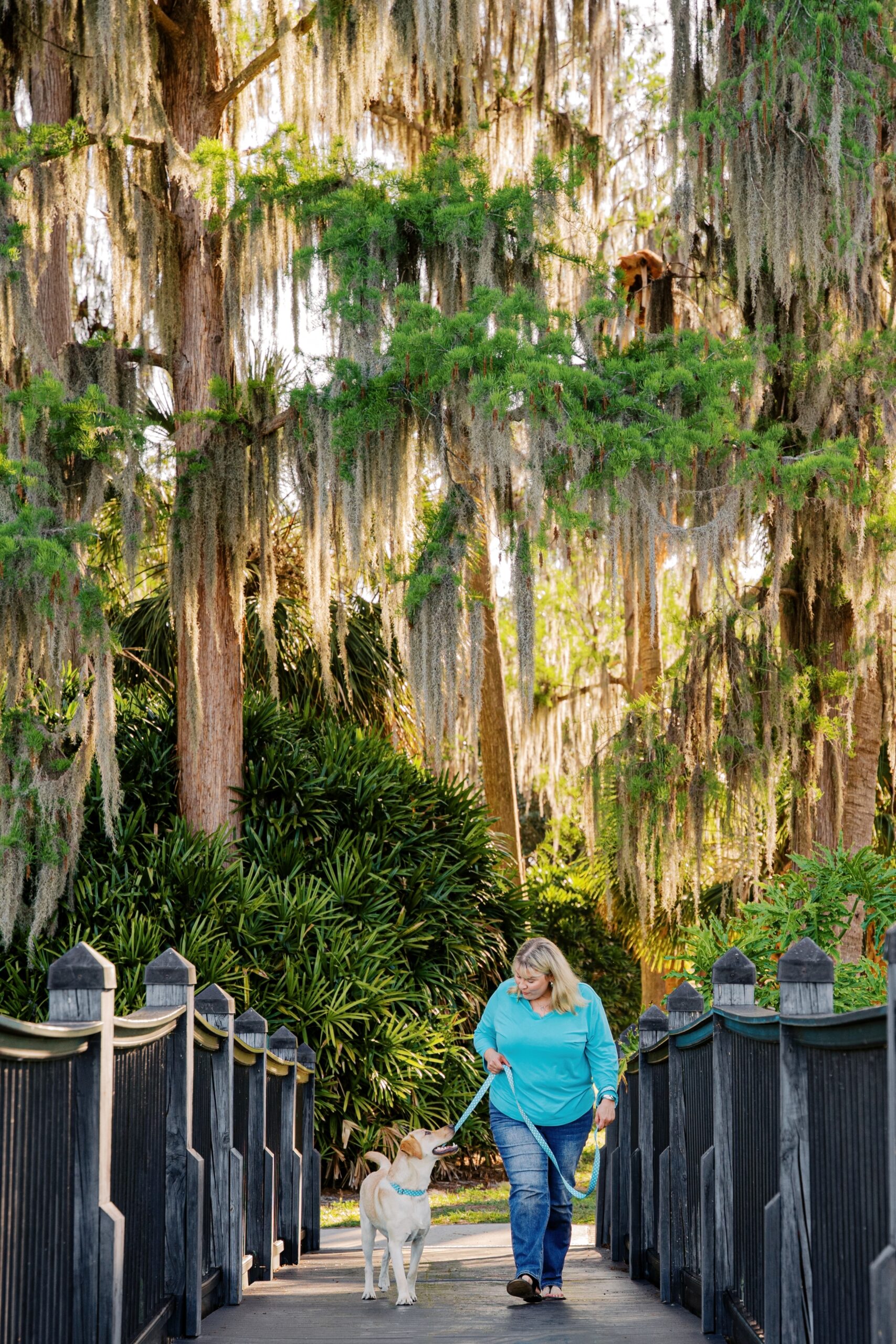 Yellow Labrador Retriever looking up at her owner while walking across a bridge surrounded by moss-covered trees.