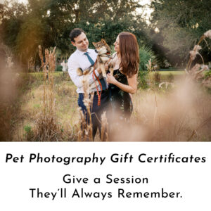 Pet photography gift certificates for dog and cat lovers.