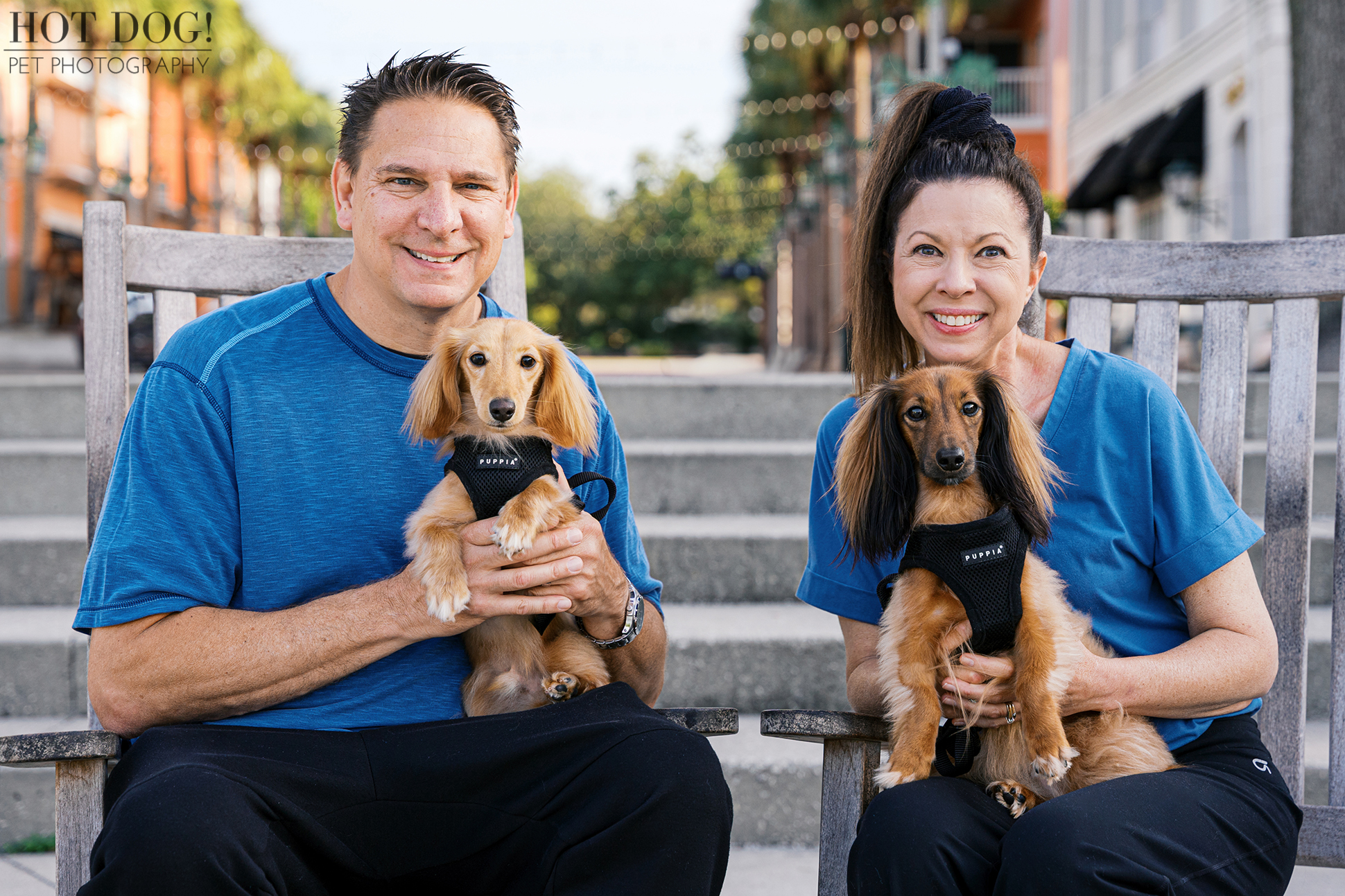 Dawn and Jeff smiling while holding Goose and Maverick on wooden chairs during a pet photography session in Celebration, Florida.